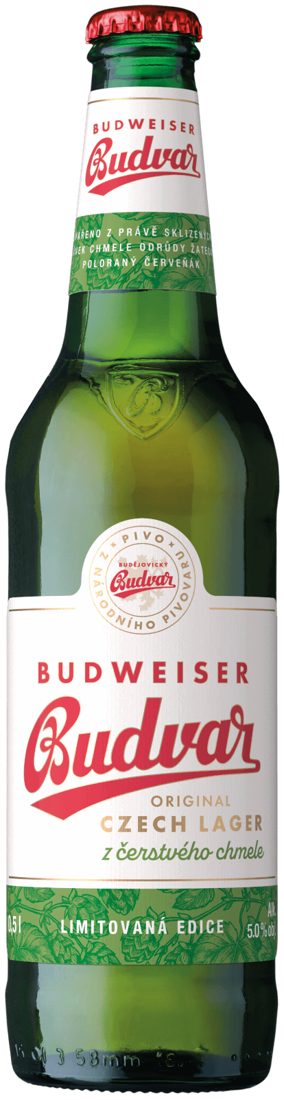 Ilustrační obrázek jídla